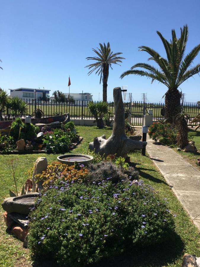 Amor Da Vida Port Elizabeth Luaran gambar